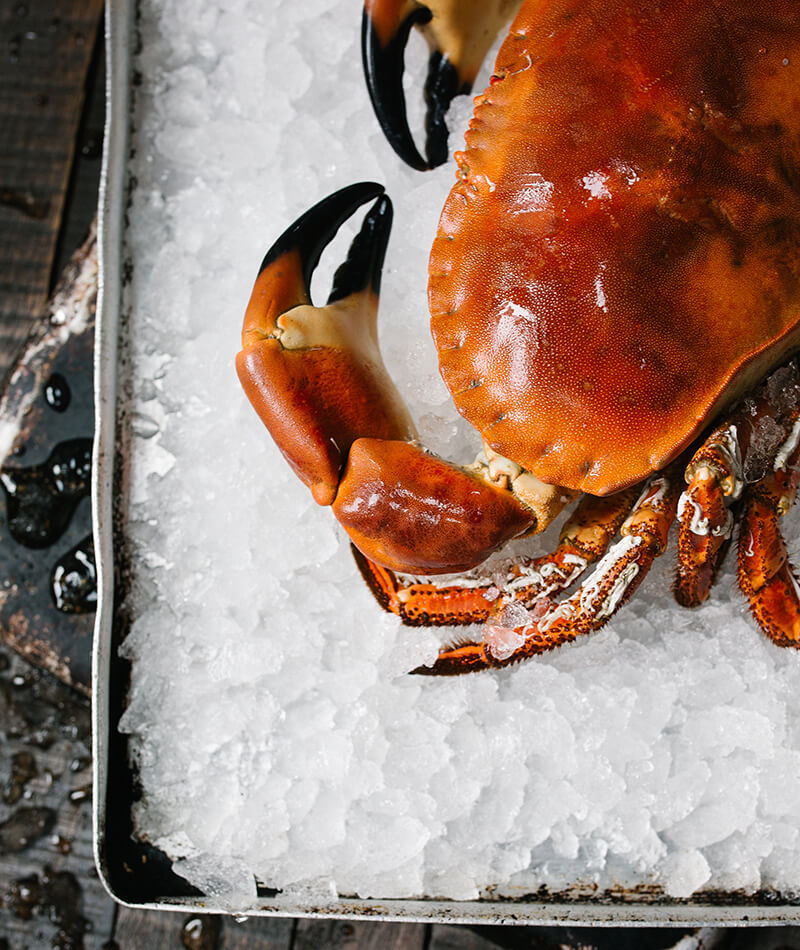 seafood-restaurant-36